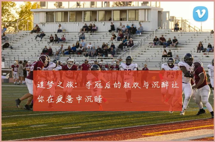 追梦之旅:夺冠后的狂欢与沉醉让你在疲惫中沉睡