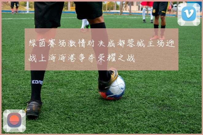 绿茵赛场激情对决成都蓉城主场迎战上海海港争夺荣耀之战