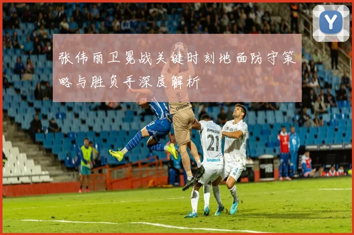 张伟丽卫冕战关键时刻地面防守策略与胜负手深度解析