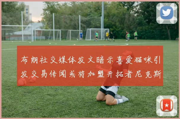 布朗社交媒体发文暗示喜爱猫咪引发交易传闻或将加盟开拓者尼克斯雷霆湖人