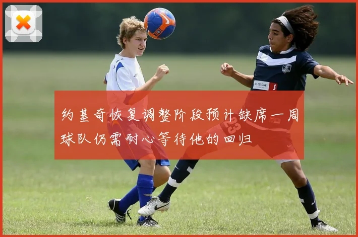 约基奇恢复调整阶段预计缺席一周球队仍需耐心等待他的回归